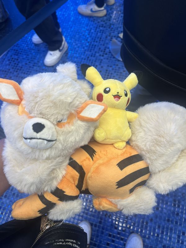 Pikachu on Growlithe Plush